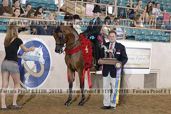 Proof 11yn_20118
