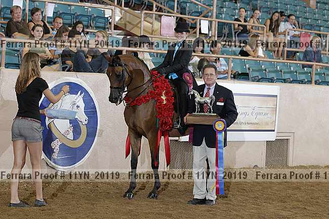 Proof 11yn_20119