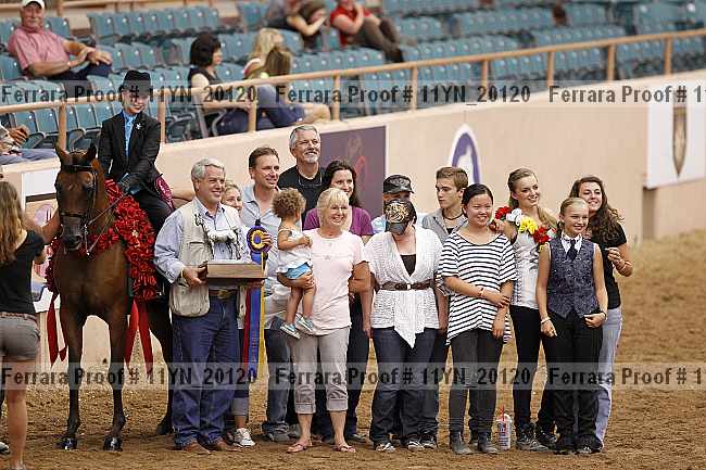 Proof 11yn_20120