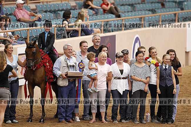 Proof 11yn_20121