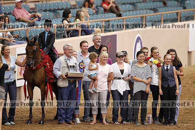 Proof 11yn_20122