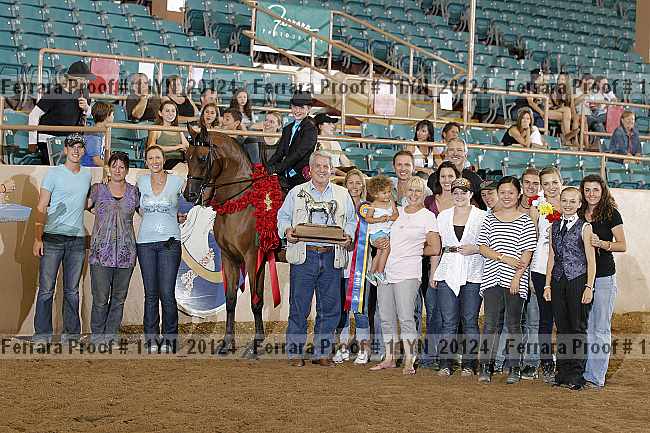 Proof 11yn_20124