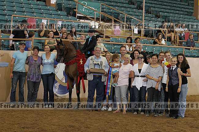 Proof 11yn_20125