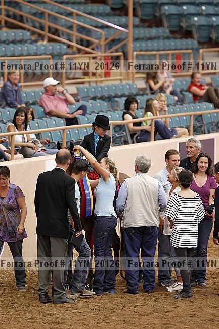 Proof 11yn_20126
