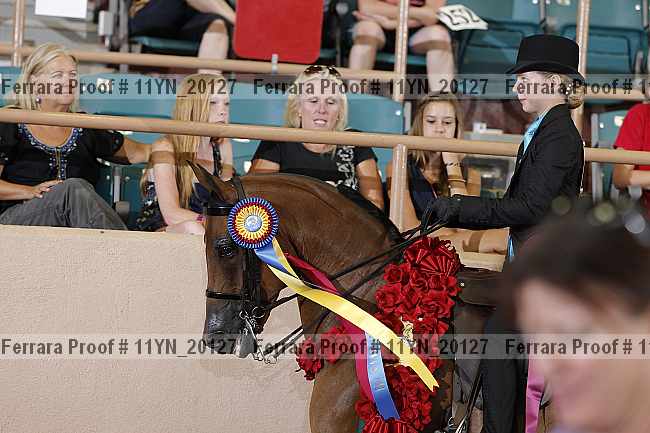 Proof 11yn_20127