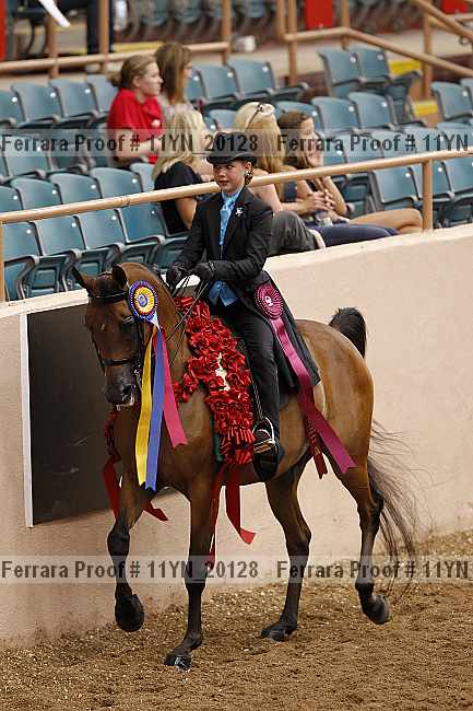 Proof 11yn_20128