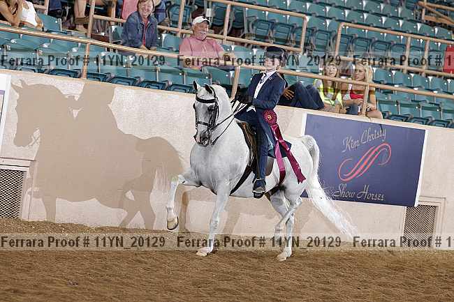 Proof 11yn_20129