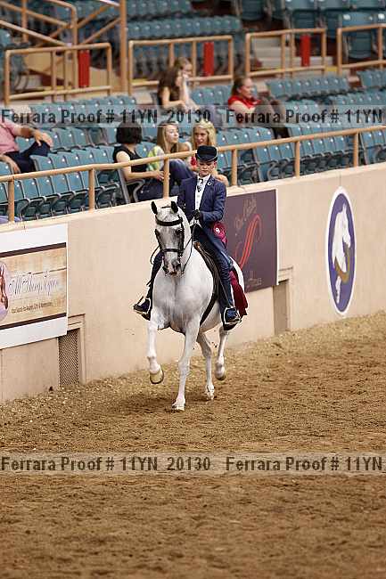 Proof 11yn_20130