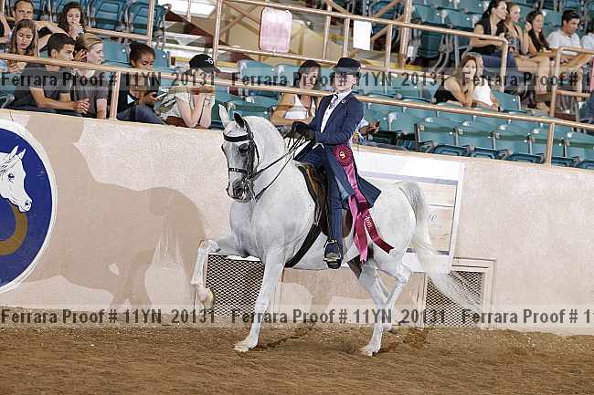 Proof 11yn_20131