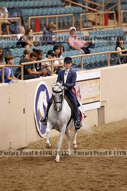 Proof 11yn_20132