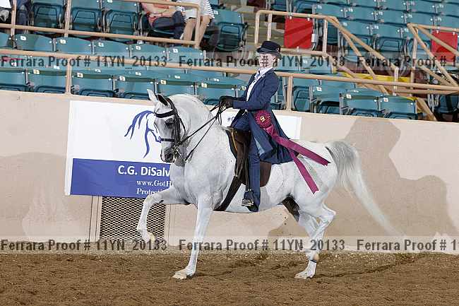 Proof 11yn_20133