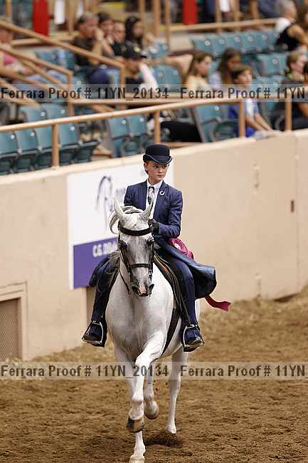 Proof 11yn_20134
