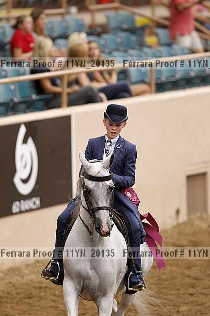 Proof 11yn_20135