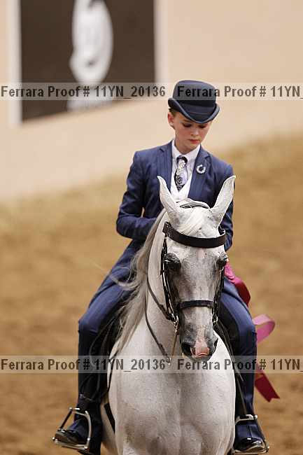 Proof 11yn_20136