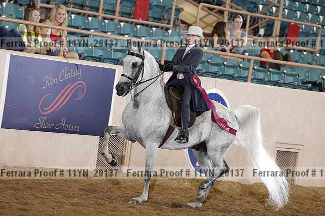 Proof 11yn_20137