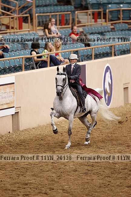Proof 11yn_20138