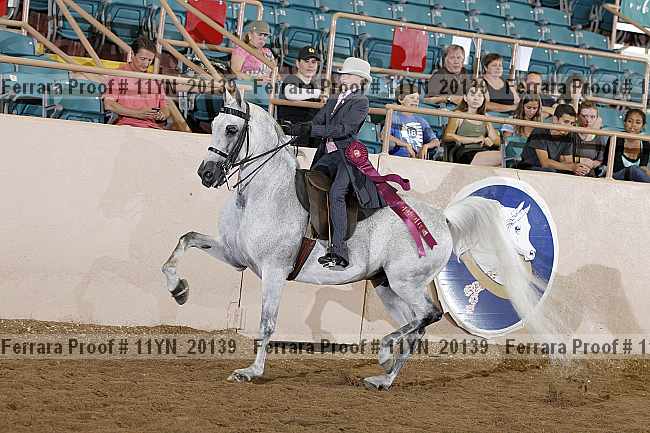 Proof 11yn_20139