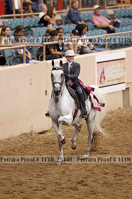 Proof 11yn_20140