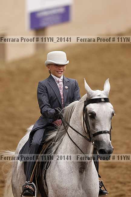 Proof 11yn_20141