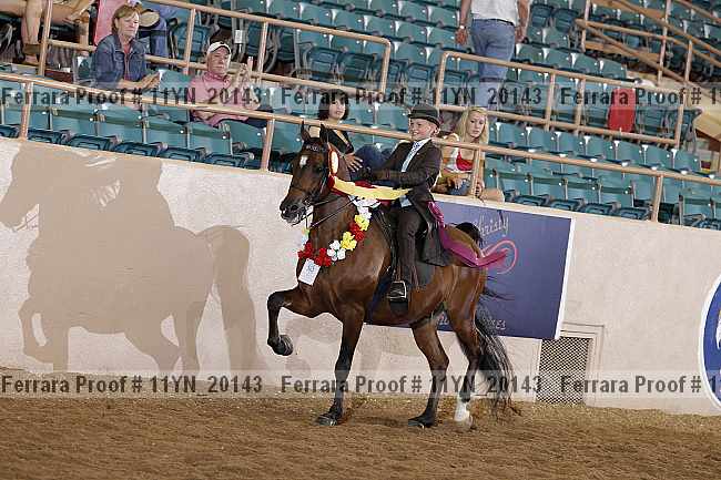 Proof 11yn_20143