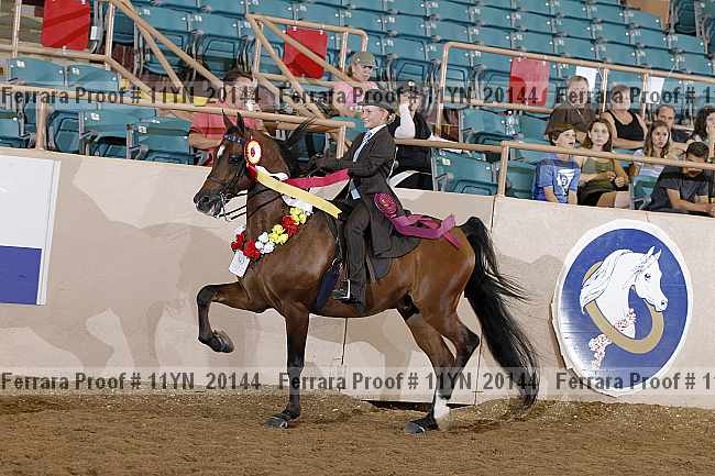 Proof 11yn_20144