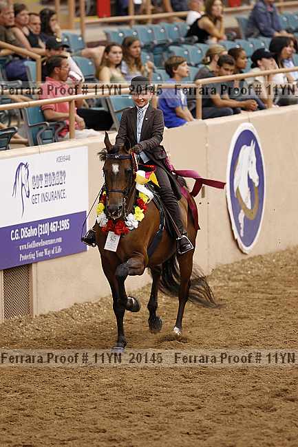 Proof 11yn_20145