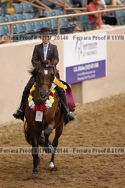 Proof 11yn_20146
