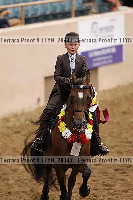 Proof 11yn_20147