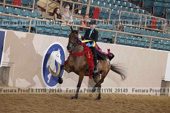 Proof 11yn_20149