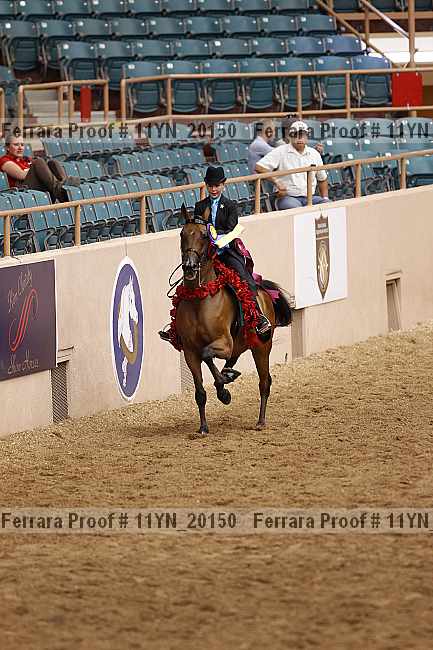 Proof 11yn_20150