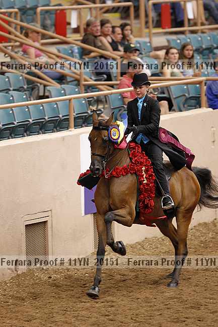 Proof 11yn_20151