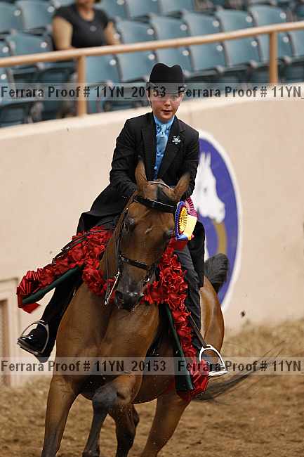 Proof 11yn_20153