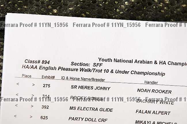 Proof 11yn_15956