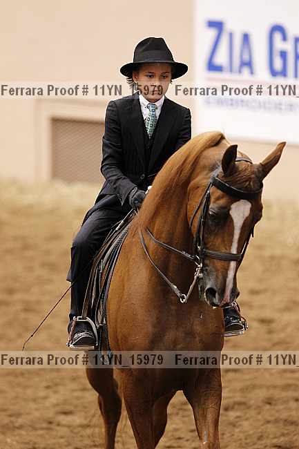 Proof 11yn_15979