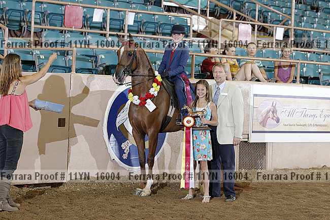 Proof 11yn_16004