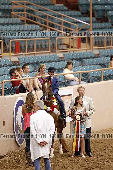 Proof 11yn_16005