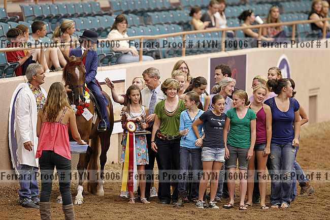 Proof 11yn_16006
