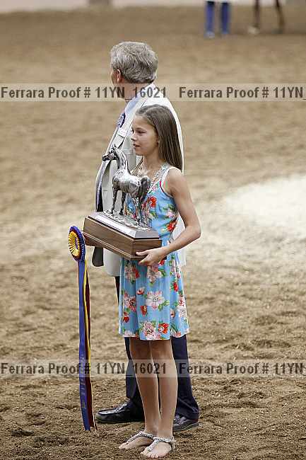 Proof 11yn_16021