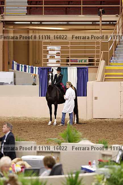 Proof 11yn_16022