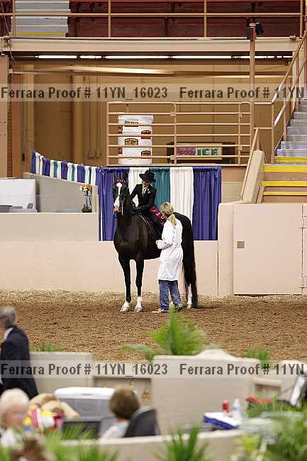 Proof 11yn_16023