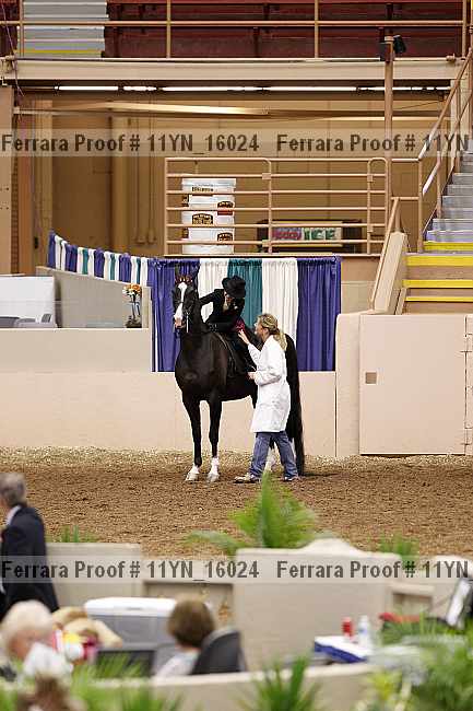 Proof 11yn_16024