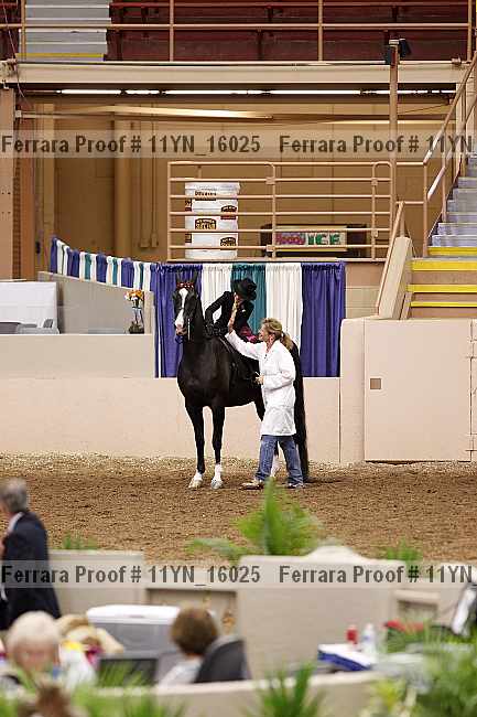 Proof 11yn_16025
