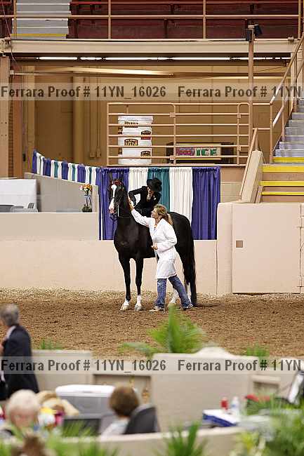 Proof 11yn_16026