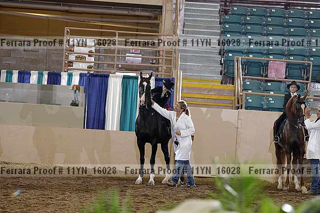 Proof 11yn_16028