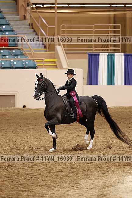 Proof 11yn_16030