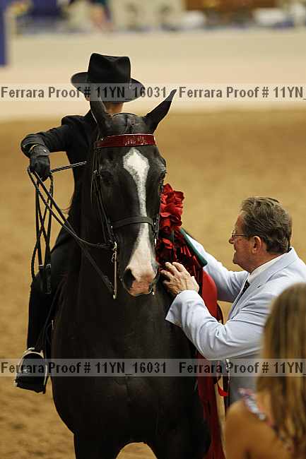 Proof 11yn_16031