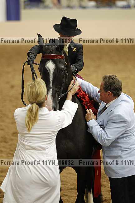 Proof 11yn_16032