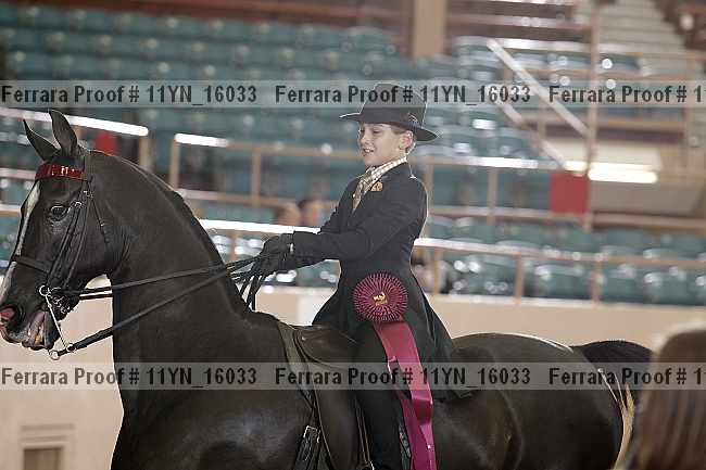 Proof 11yn_16033