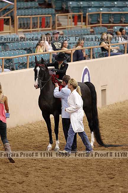 Proof 11yn_16035