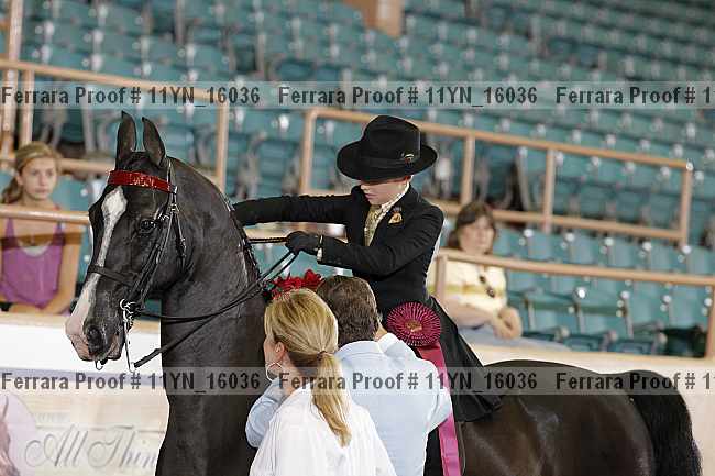 Proof 11yn_16036